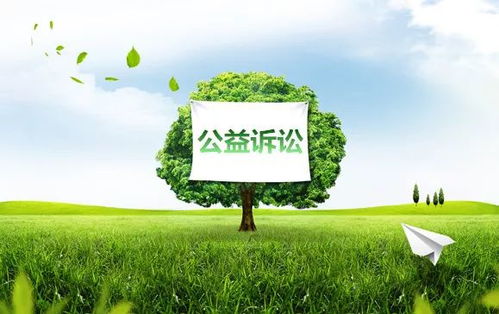 被判種樹還要?；?環(huán)境補(bǔ)償修復(fù)式公益訴訟的實(shí)效探析與亞樹科技的創(chuàng)新實(shí)踐